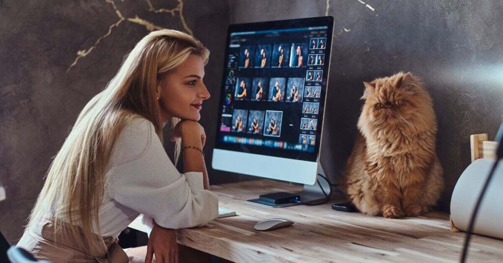 budget hosting providers